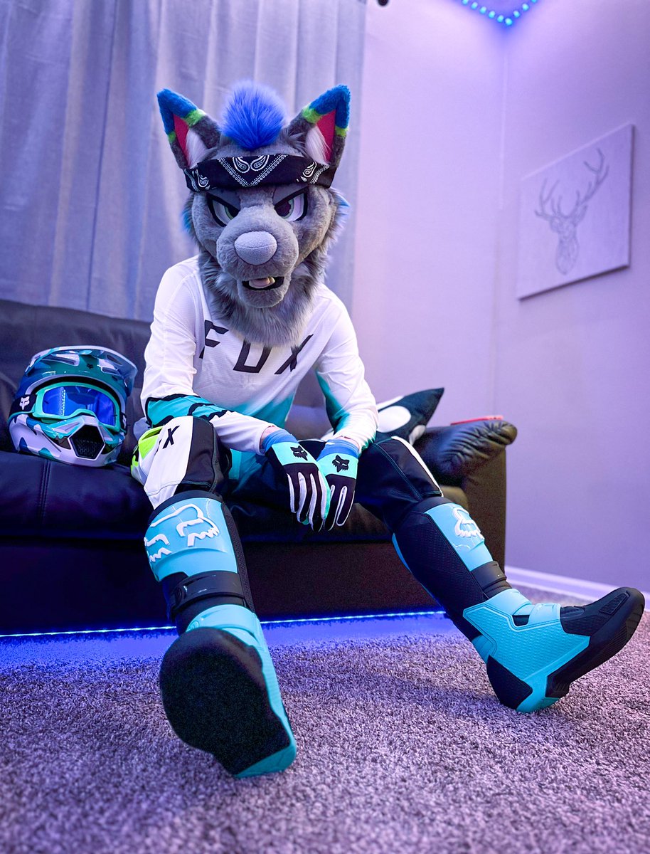 Photo by @Alex_fluffyboi
