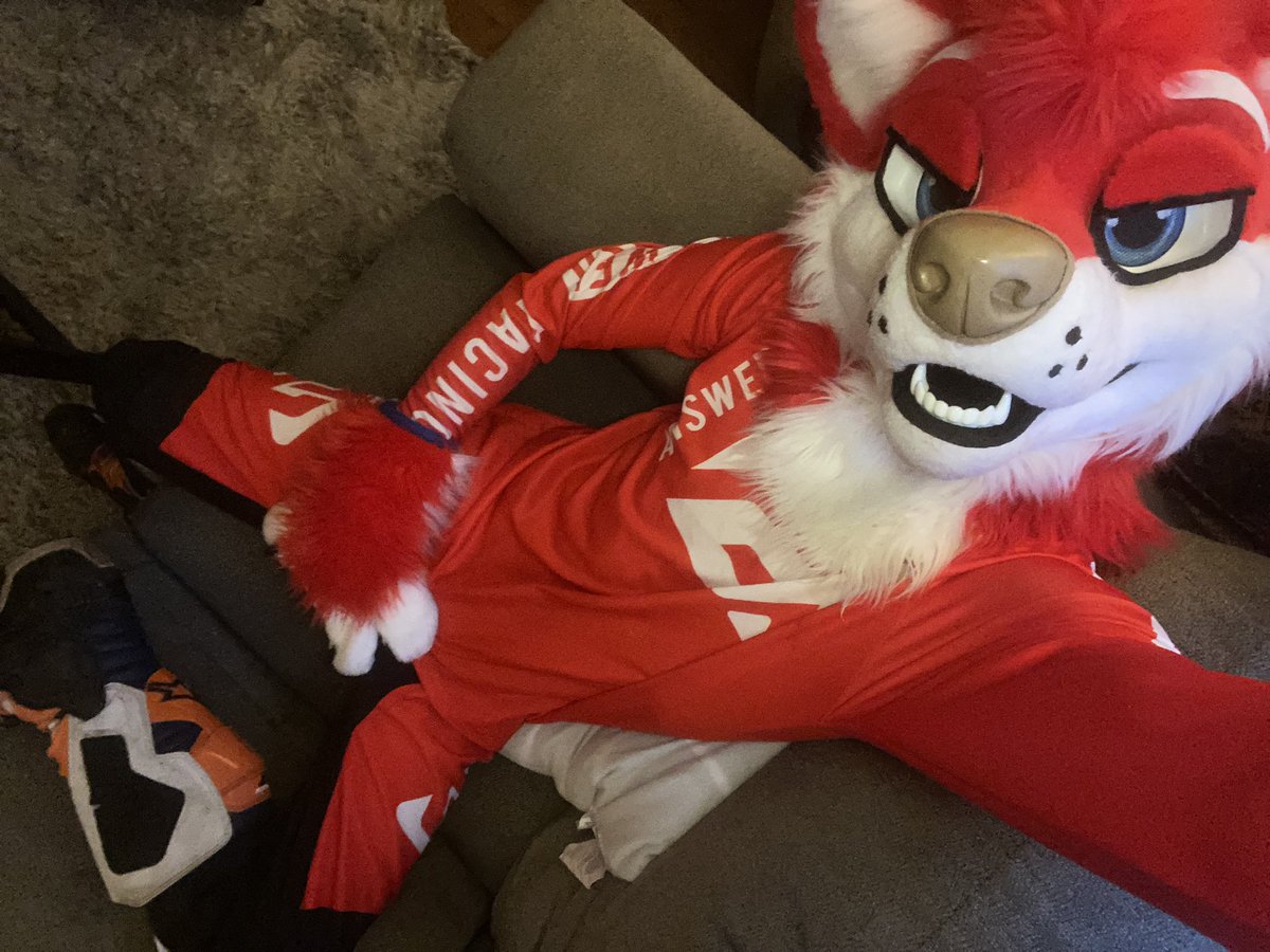 Photo by @pawdoggo