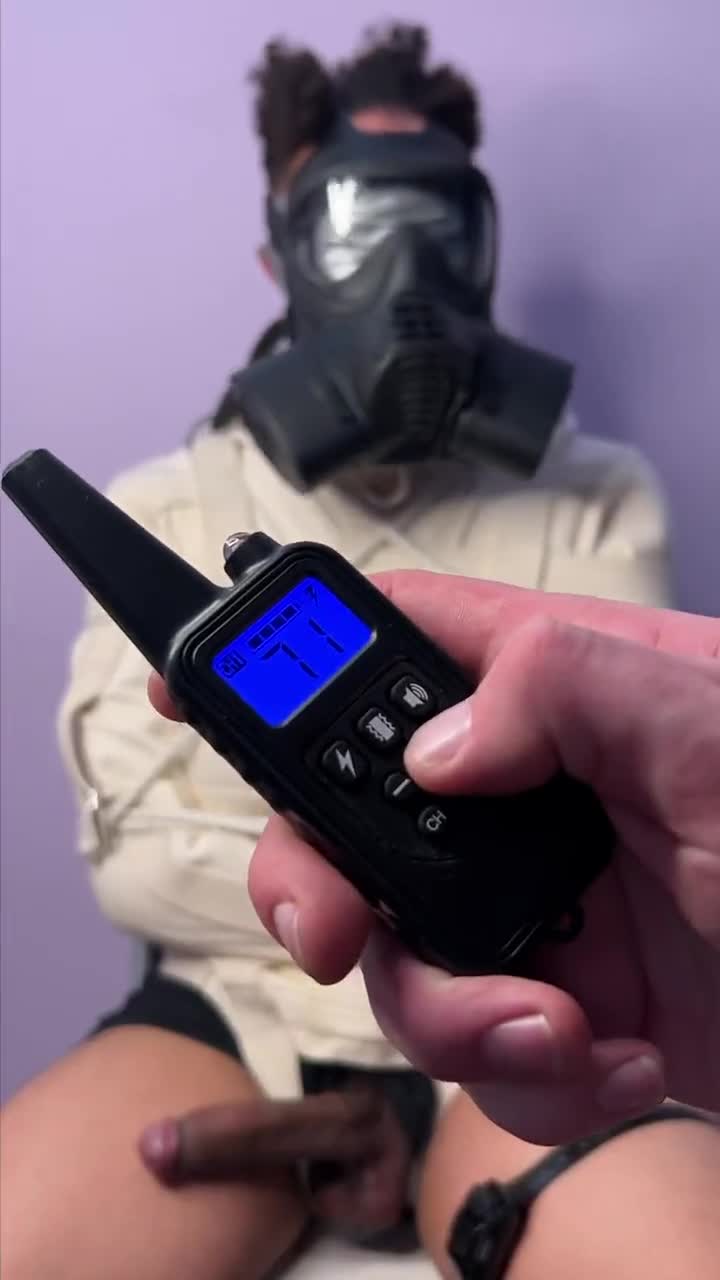 Video by @BoundJake
