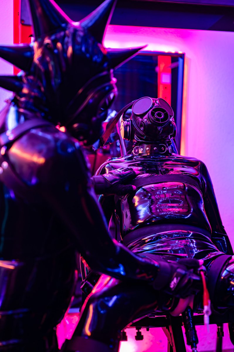 Photo by @Rocket_Pup
