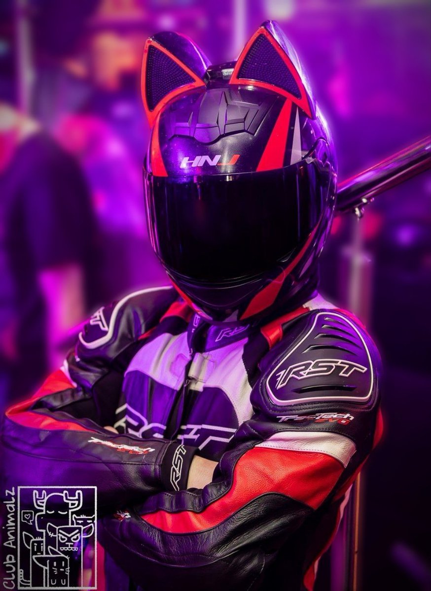 Photo by @Pup__Daxter