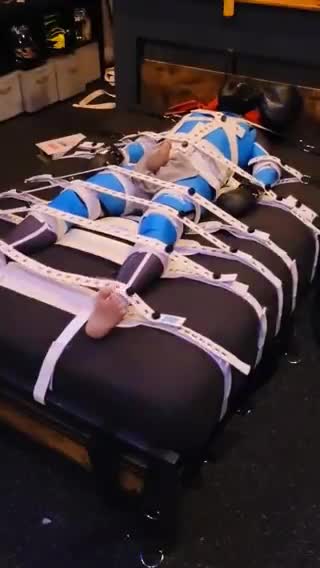 Video by @pup_tiger
