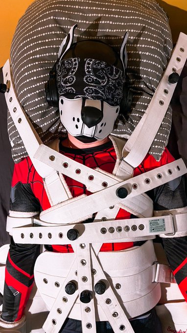 Photo by @PupBoster