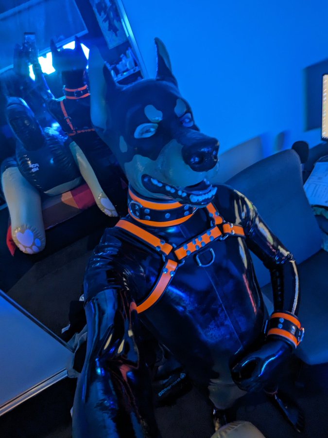 Photo by @LanceRbrHusky