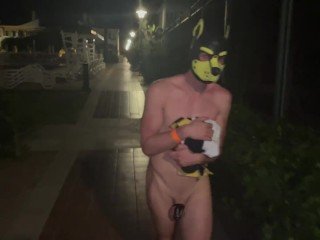 Locked Puppy Naked Walk