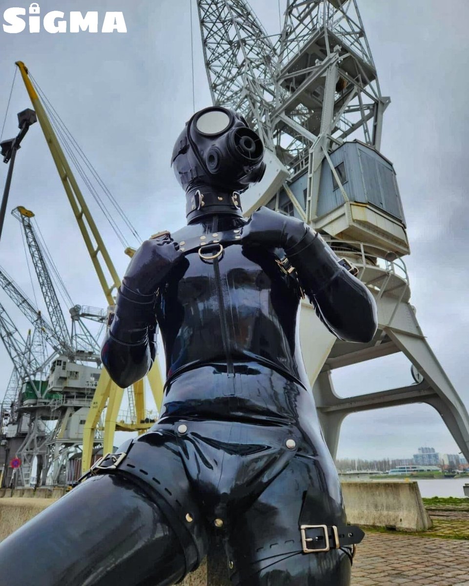 Photo by @PuppySigma