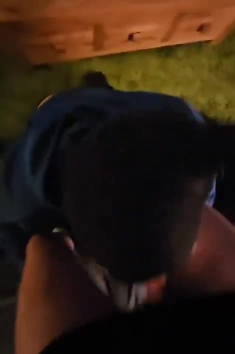 Video by @Nubboyy
