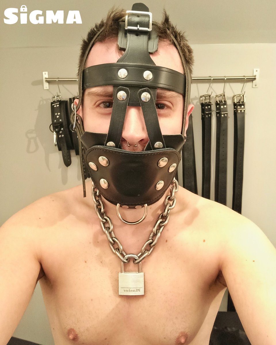 Photo by @PuppySigma