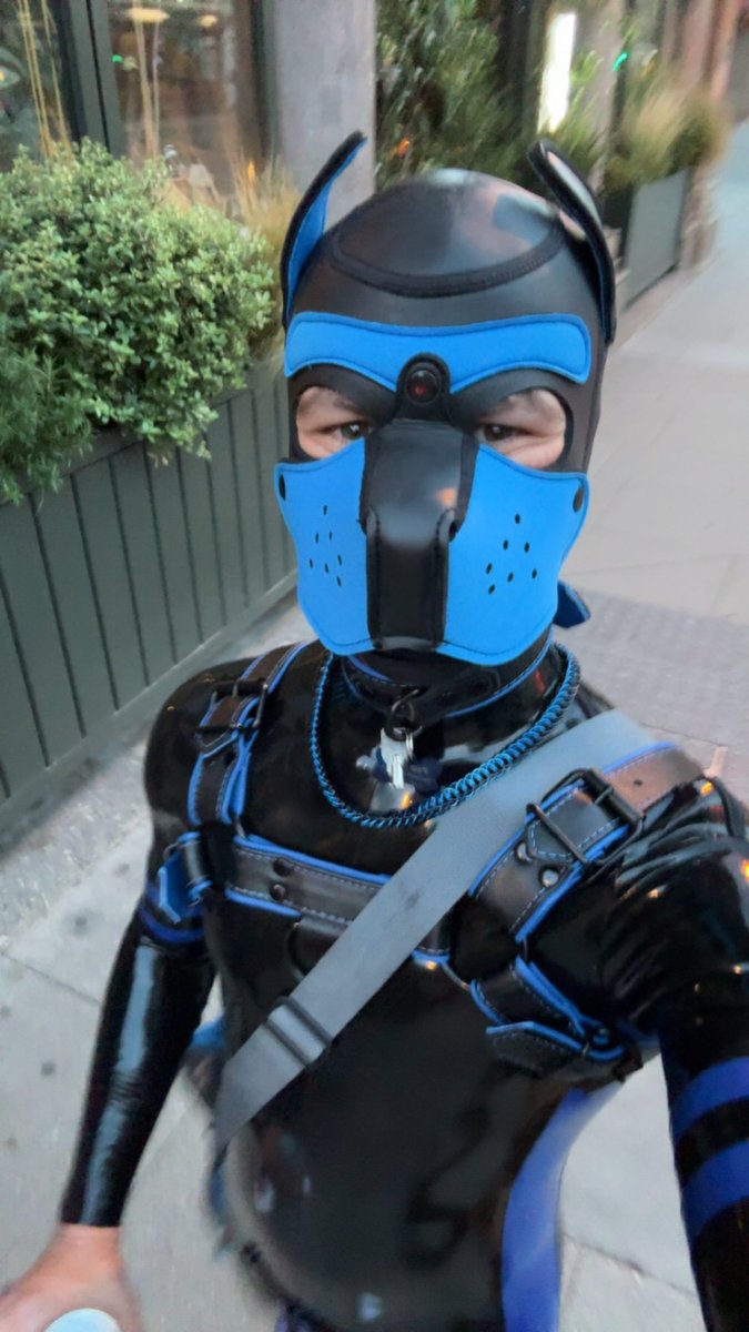 Photo by @PupBlue0993