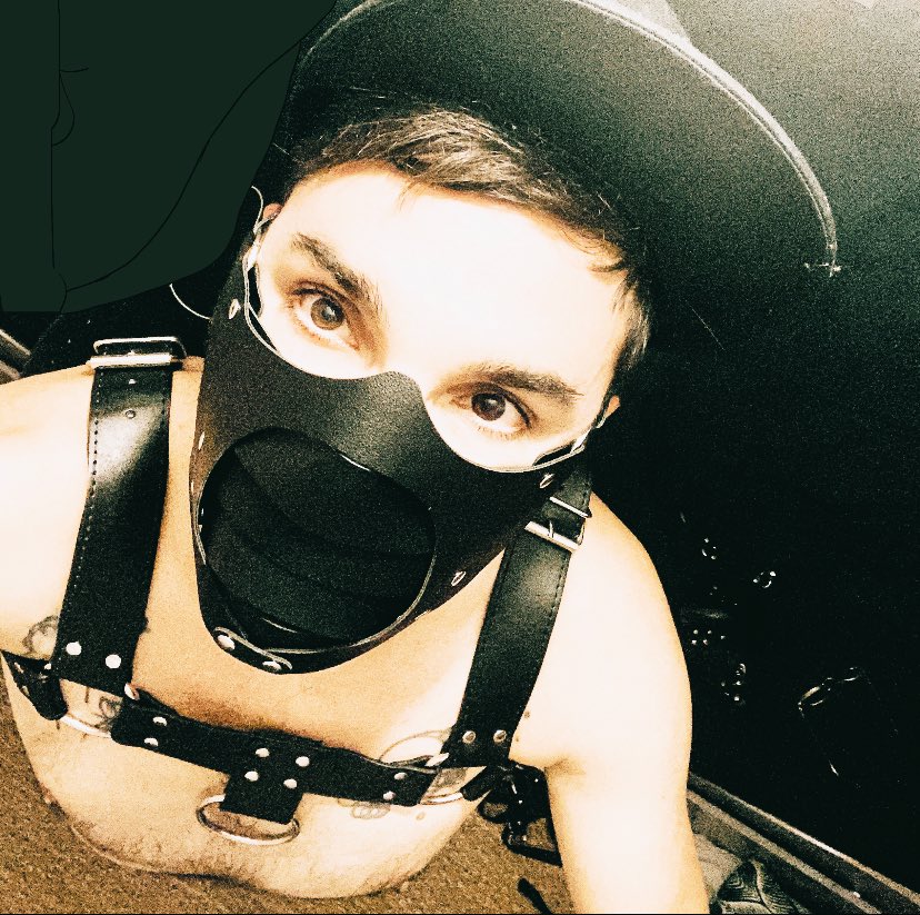 Photo by @LouisMaster_Pup
