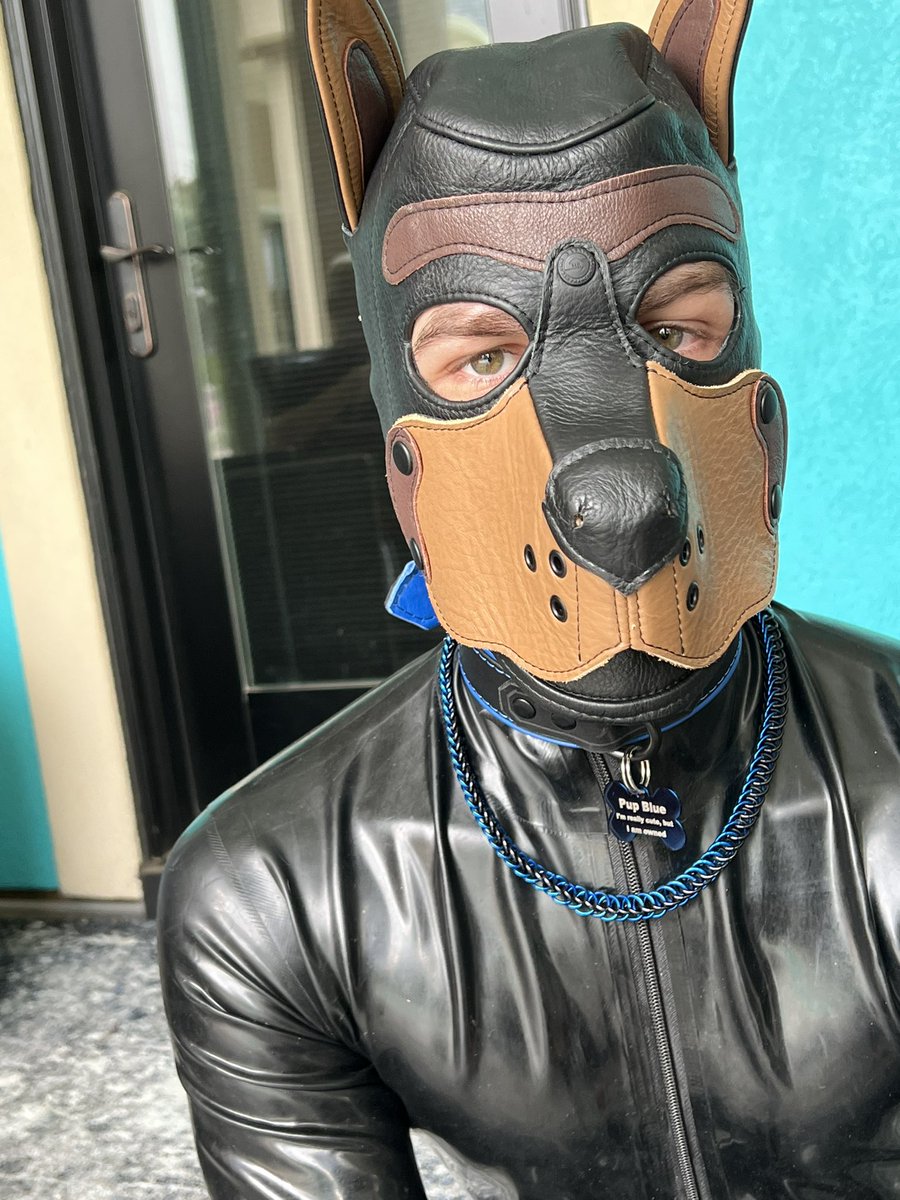 Photo by @PupBlue0993