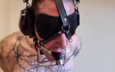 Video by @K1nkMega