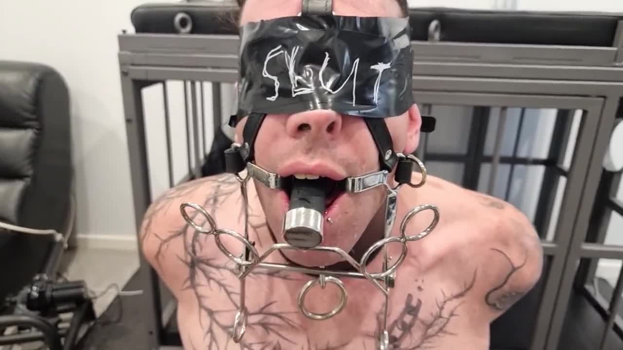 Video by @K1nkMega